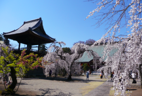 慈眼寺かんがい_歴史遺産