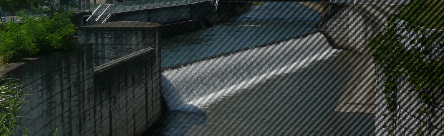 組合見出し_背景