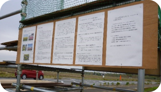 4コスモスまつり