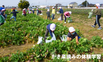 福島_表彰_かき菜摘み