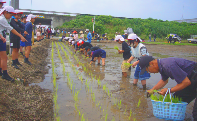 田んぼ小1