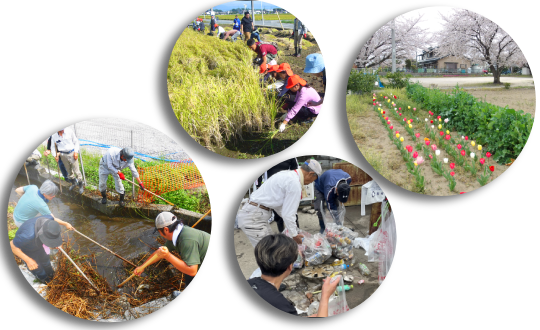 多面的_top払い金とは