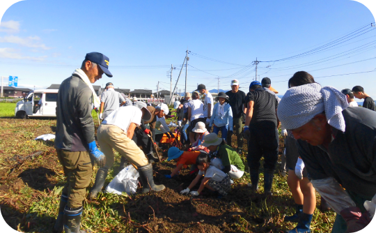 2改やきいも540_334