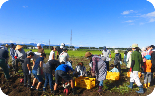 １改.上新田芋ほり540_334