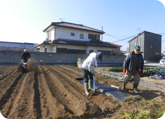 ①じゃがいもの栽培（苗植え）