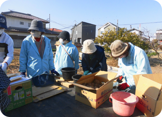 ②じゃがいもの栽培（苗植え）