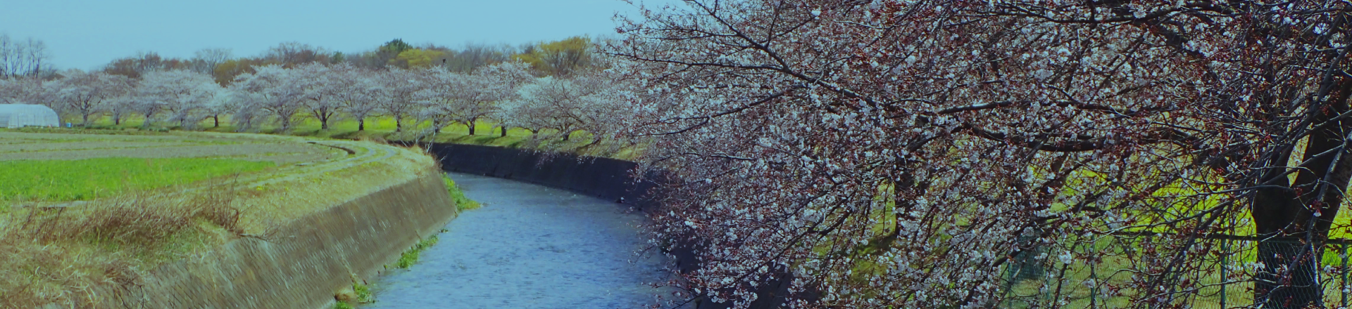 top_天狗岩堰とは_背景 (1)