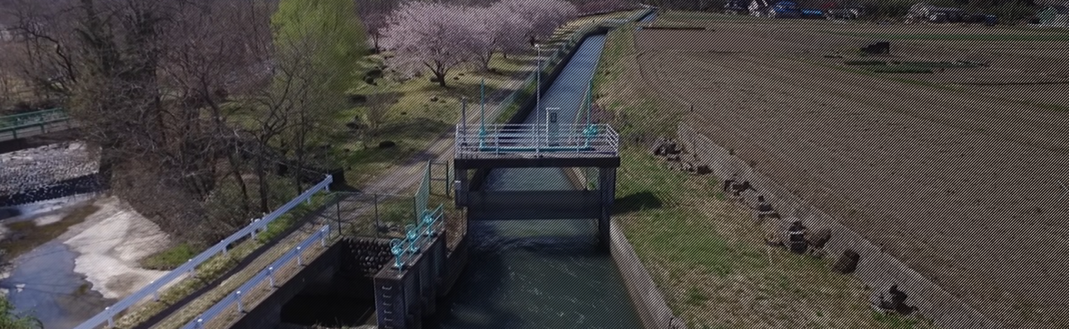 おしらせ_見出し_背景